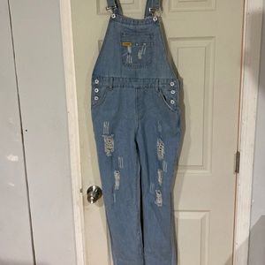 Denim Overalls